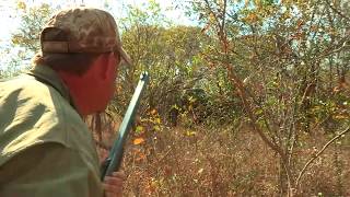 Elephant Hunt Up Close at 14 Yards Zimbabwe Tim Herald and Buzz Charlton