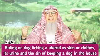 Dog Licking A Utensil Vs Your Skin Or Clothes. Its Urine & Sin Of Keeping Dog As Pet Im Al Hakeem