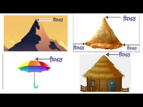 vertex presentation meaning in punjabi