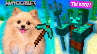 НА МЕНЯ НАПАЛ ВОДЯНОЙ В МАЙНКРАФТ ! ВЫЖИВАЮ В MINECRAFT