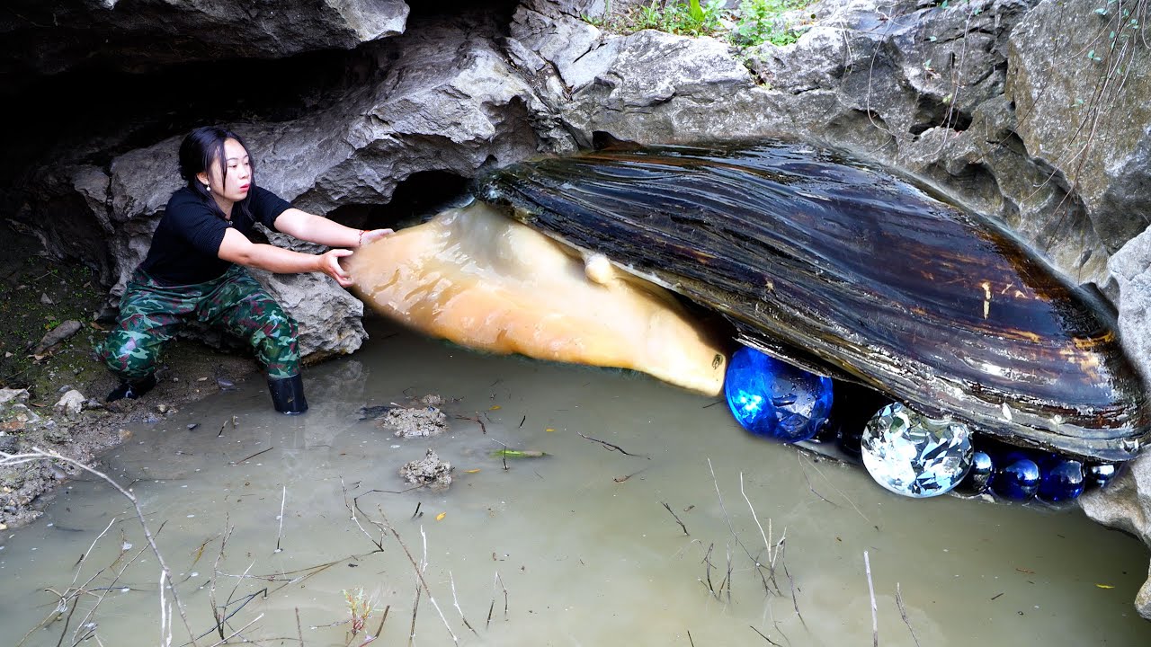😱The girl pried open the giant clam, which was filled with enchanting pearls, each one unparalleled