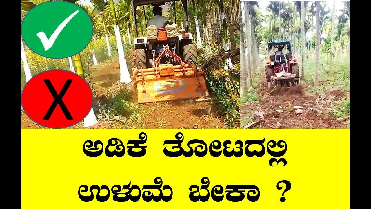 ಅಡಿಕೆ ತೋಟದಲ್ಲಿ ಉಳುಮೆ ಬೇಕಾ?#Arecanut #Cultivation in Arecanut#Disc cultivation#Ploughing in Arecanut