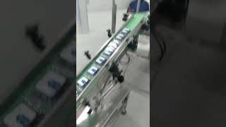 Automatic Blueberry Weighing & Clamshell Packing Machine