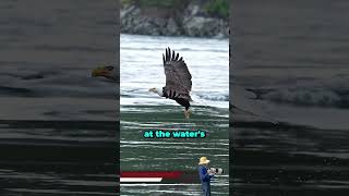 This Eagle Shocked Everyone 