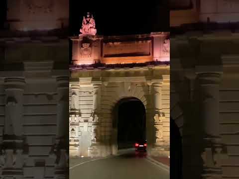 Night life in