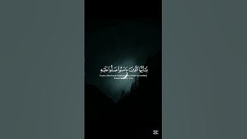 القرآن الكريم #اكسبلور #المصحف #لايك #الرحمن #سوره #سورة #راحة_نفسية