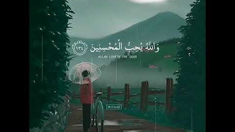 قرآن كريم بصوت ناصر القطامي | حالات واتس اب دينية - سورة آل عمران