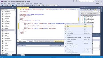 ASP.NET Literal - how to encode HTML content (C#)