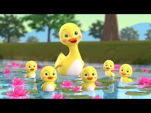 Number Song | Five Little Duckies More Baby Songs | Beep Beep Nursery Rhymes