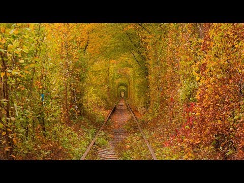 Solo Journey to The Tunnel of Love, Ukraine in the Fall