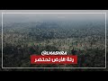 البشر يتورطون في تدمير ثلثي الغابات الاستوائية في العالم