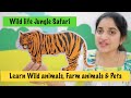 Wild animals, Pet animals & Farm animals for Kindergarten | Wildlife Jungle Safari for kids