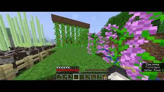Mesa Black Minecraft Server Episode 2: Courthouse Built
