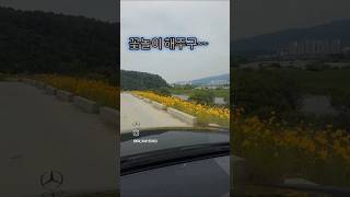 영천현대 삼천리 검사소에서 불합격맞음 #행복한자동차SOUL 설명글 참조~