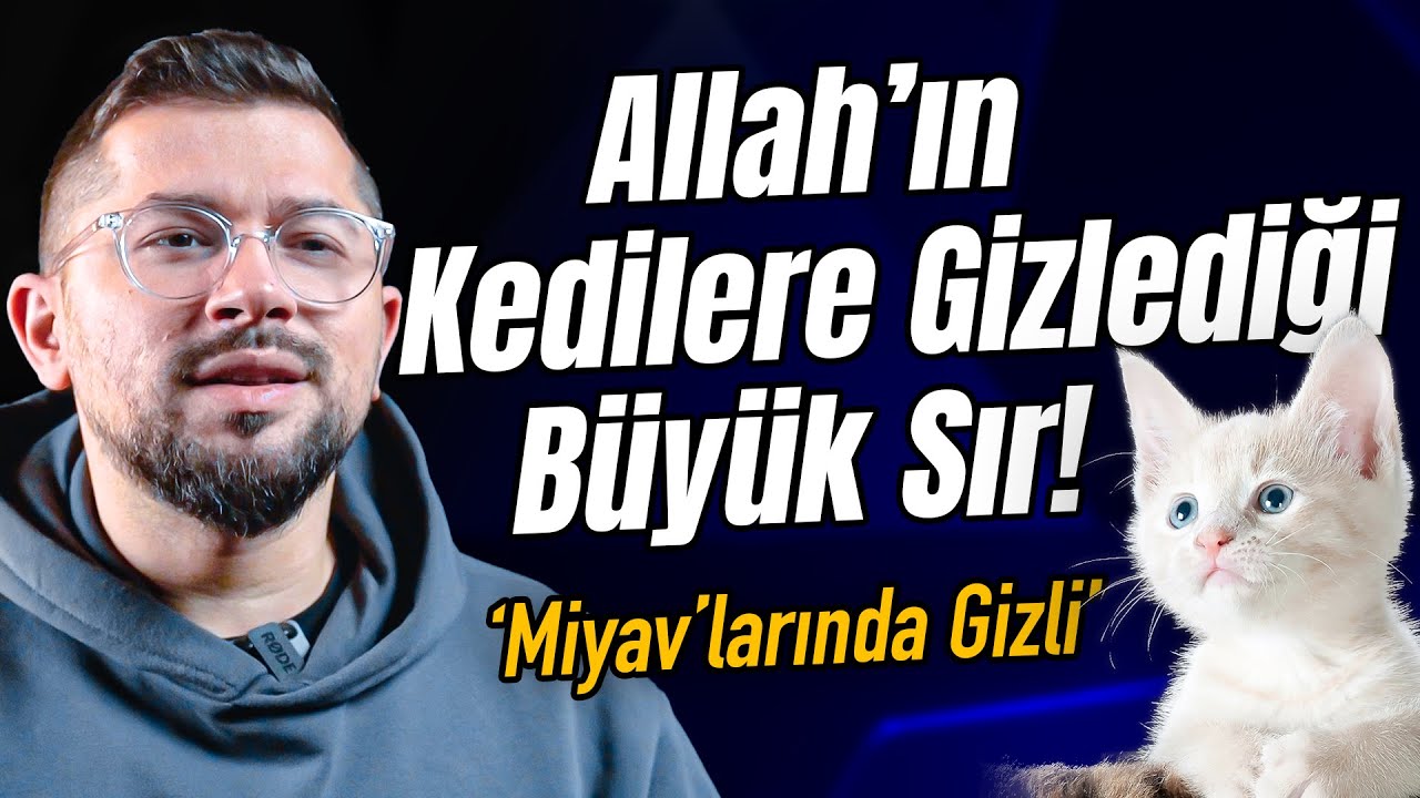Allah’ın Kedilere Gizlediği Büyük Sır! ‘Miyav’larında Gizli..