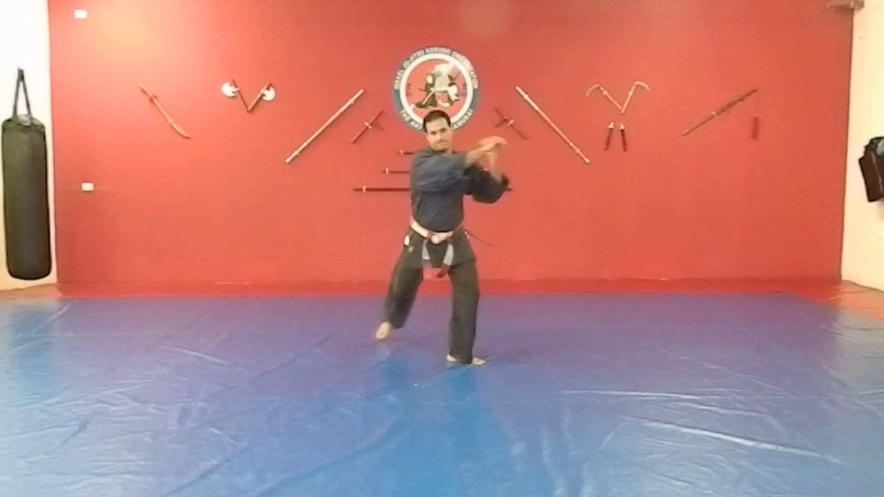 קאטה עם מקל