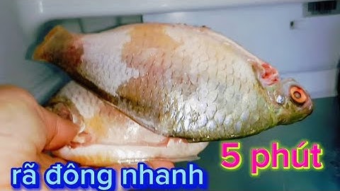 Cách Rã Đông Thịt Cá Nhanh Chỉ 5 Phút -1 Đầu Bếp Nhà Hàng Chia Sẻ 