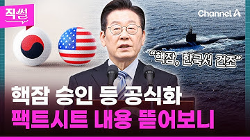 핵잠 승인 등 공식화🎯🤔…한미 팩트시트📌 5대 합의 내용 뜯어보니 👀 [직썰]