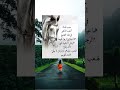 سبب فساد أغلب الذكور في هذا المجتمع كلمات هامة وقوية حكم و اقوال حكمة اليوم اقتباسات Shorts سبب فساد أغلب الذكور في هذا المجتمع كلمات هامة وقوية حكم و اقوال حكمة اليوم اقتباسات Shorts