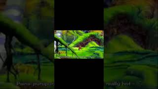 Download Lagu One piece luffy's baka song (Skype remix) MP3