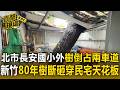 又是樹倒！北市長安國小外 樹占據兩車道／新竹80年樹木斷裂砸穿民宅天花板 屋主驚醒【直擊現場】