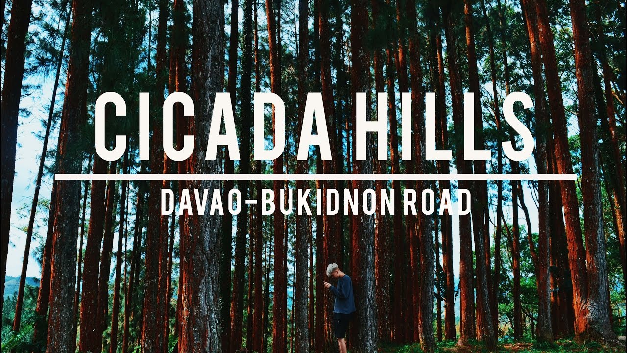 Travelog 1 Cicada Hills Davao Bukidnon Road Youtube