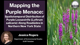 Mapping the Purple Menace - Jessica Rogers - NYC EcoFlora