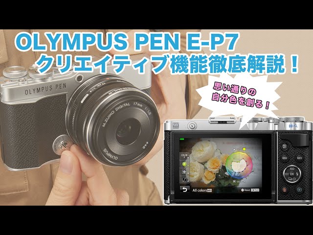 鉄道 鉄道アーカイブ 今井出版オンラインストア – お写ん歩: 7月20日