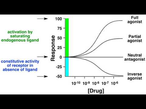 Inverse agonist | Wikipedia audio article - YouTube