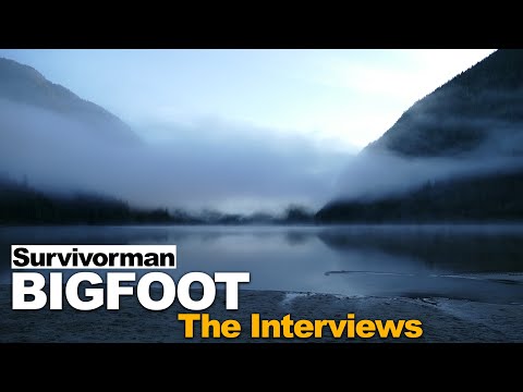 Video: V Ulyanovských Lesích Byl Bigfoot Viděn - Alternativní Pohled