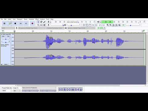 DSP Audio Recording (Assignment A1)