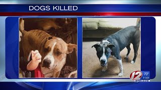 Celebrity Owner's reaction to their two dogs killed in self-defense by Warwick Police Wealth