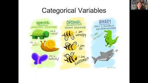 Variables & Chi-square tests 2.1