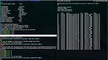 Cloud Foundry Autoscaler Experiment