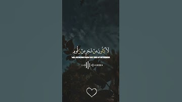 ثم انكم ايها الضالون المكذبون #تلاوة_خاشعة #راحة_نفسية #قرآن #مصر #fyp #fypシ #foryou #viral