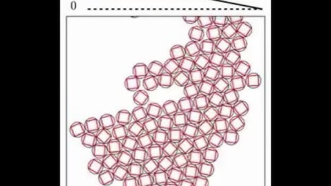 Architecture and Function of Mechanosensitive Membrane Protein Lattices