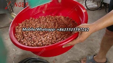 Two Layer Peanut Grading Sorting Machine Working Process