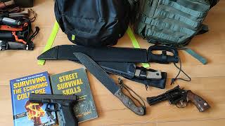 Do You Even Need a Gun in Your Bug Out Bag?