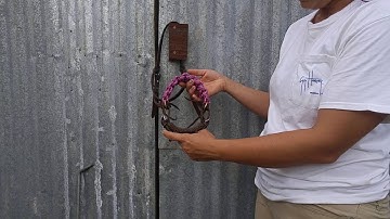 Convert your horse bridal to a BITLESS BOSAL!