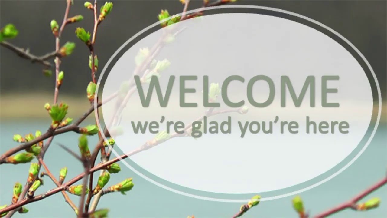 Noah Kellerman Live Stream