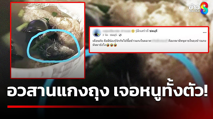 อวสานแกงถุง เจอหนูทั้งตัว! | 17 ก.ค. 68 | ข่าวใหญ่ช่อง8