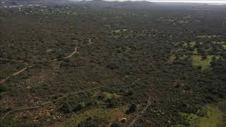 ''Cleared Paradise & Put Up a Solar Park'' - Cerro do Leiria, Algarve, Portugal