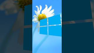8 Tells 12 about something #windows #scottpilgrim #windows8 #windows12 @mario_and_woodystudios 