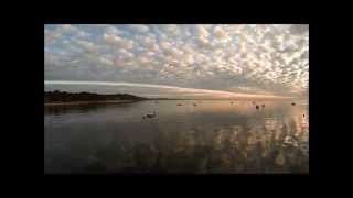 Pêche au bassin d'Arcachon : Orphie, Raie et Seiche