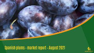 Spanish plums market report August 2021
