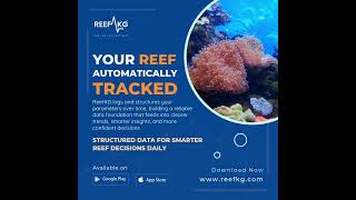 Stop logging parameters by hand — let ReefKG do it for you. 📊