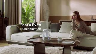 Amazon com LEVOIT Top Fill Humidifiers for Bedroom 2 5L Tank    link in description Profile