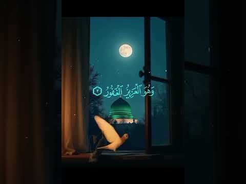سورة الملك عبدالرحمن مسعد تلاوة قران كريم  اكسبلور دويتو المصحف  الرحمن