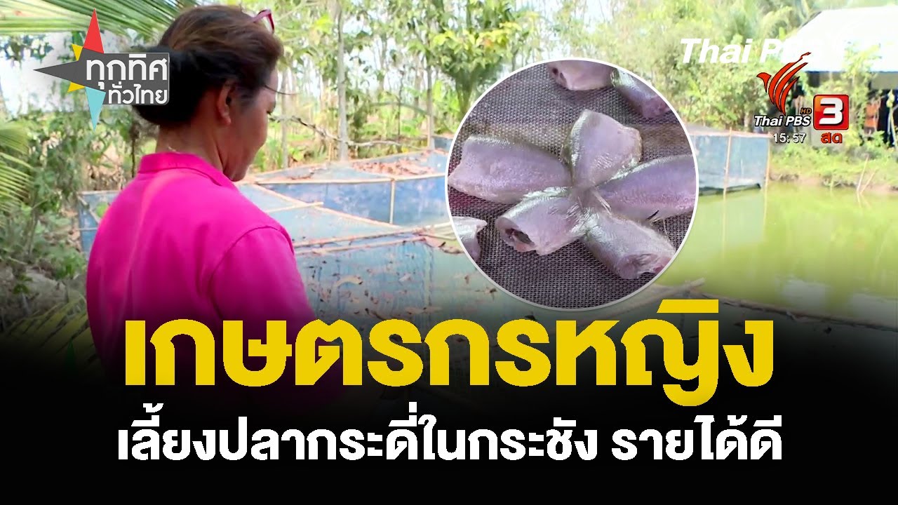 เกษตรกรหญิง เลี้ยงปลากระดี่ในกระชัง รายได้ดี | อาชีพทั่วไทย | 7 มี.ค. 67