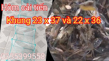 Cung cấp 12 cửa ngục khung 23 x 37 và  khung 22 x 36  lưới thái lan hôm cải tiến 0335399558